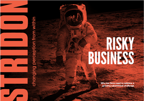 Stridon E-book Risky Business